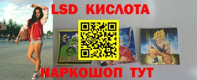 прущие грибы Среднеуральск