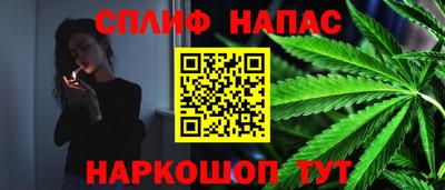 прущие грибы Среднеуральск