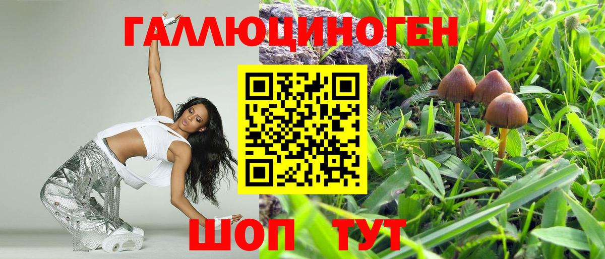 Псилоцибиновые грибы Magic Shrooms Новодвинск
