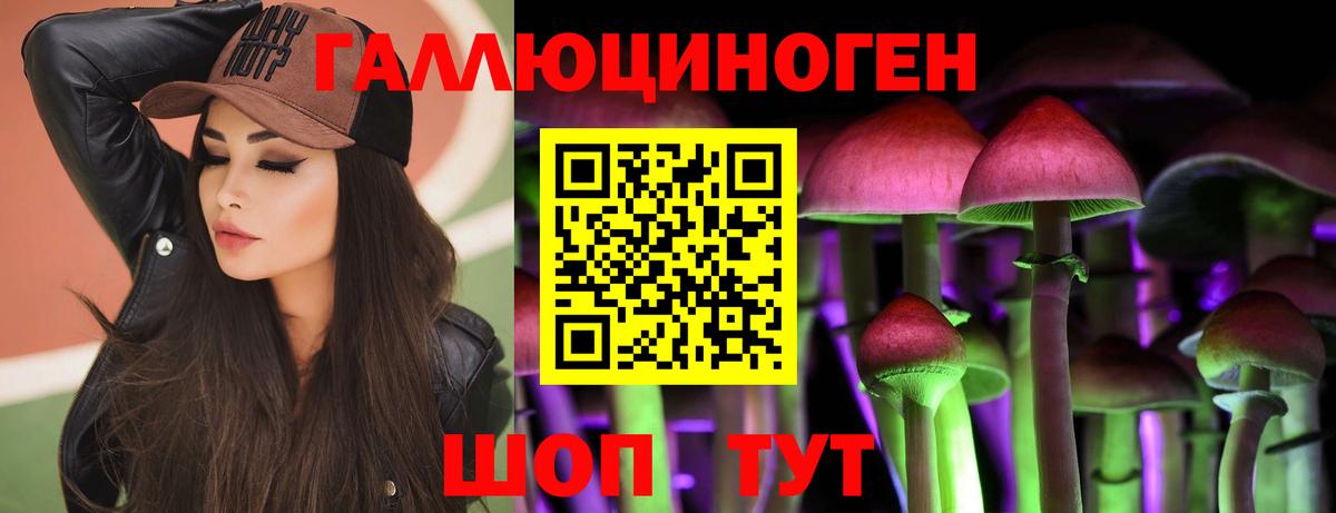 Галлюциногенные грибы Cubensis  цена   Новодвинск  Вход с VPN 