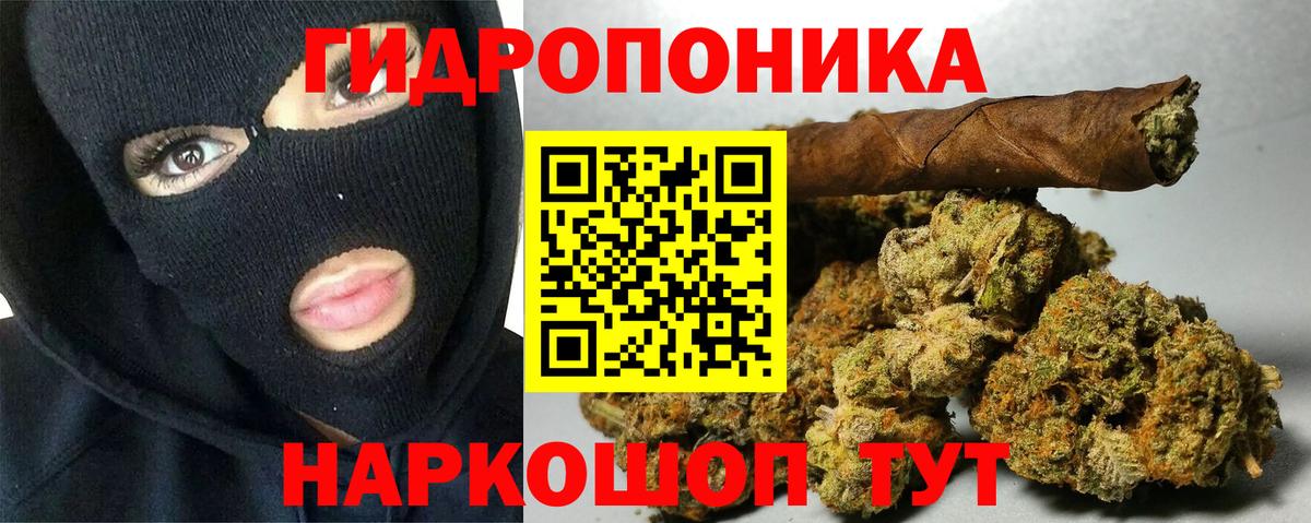 Каннабис Bruce Banner Новодвинск
